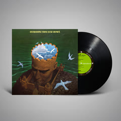 Vinyl cover